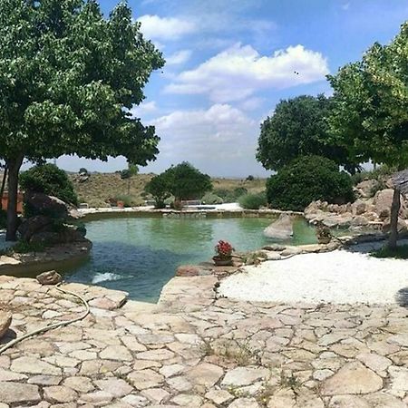 Finca El Cerco A 5M De Puy Du Fou Y 10M A Casco Antiguo De Toledo Villa Argés Kültér fotó