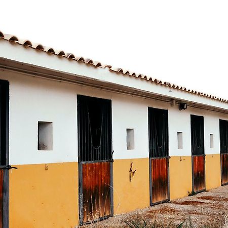 Finca El Cerco A 5M De Puy Du Fou Y 10M A Casco Antiguo De Toledo Villa Argés Kültér fotó