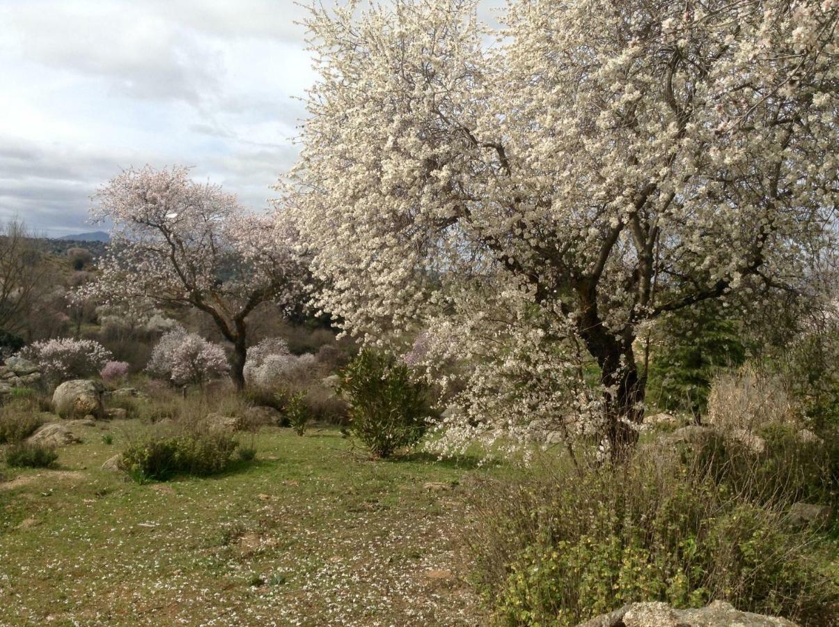 Finca El Cerco A 5M De Puy Du Fou Y 10M A Casco Antiguo De Toledo Villa Argés Kültér fotó