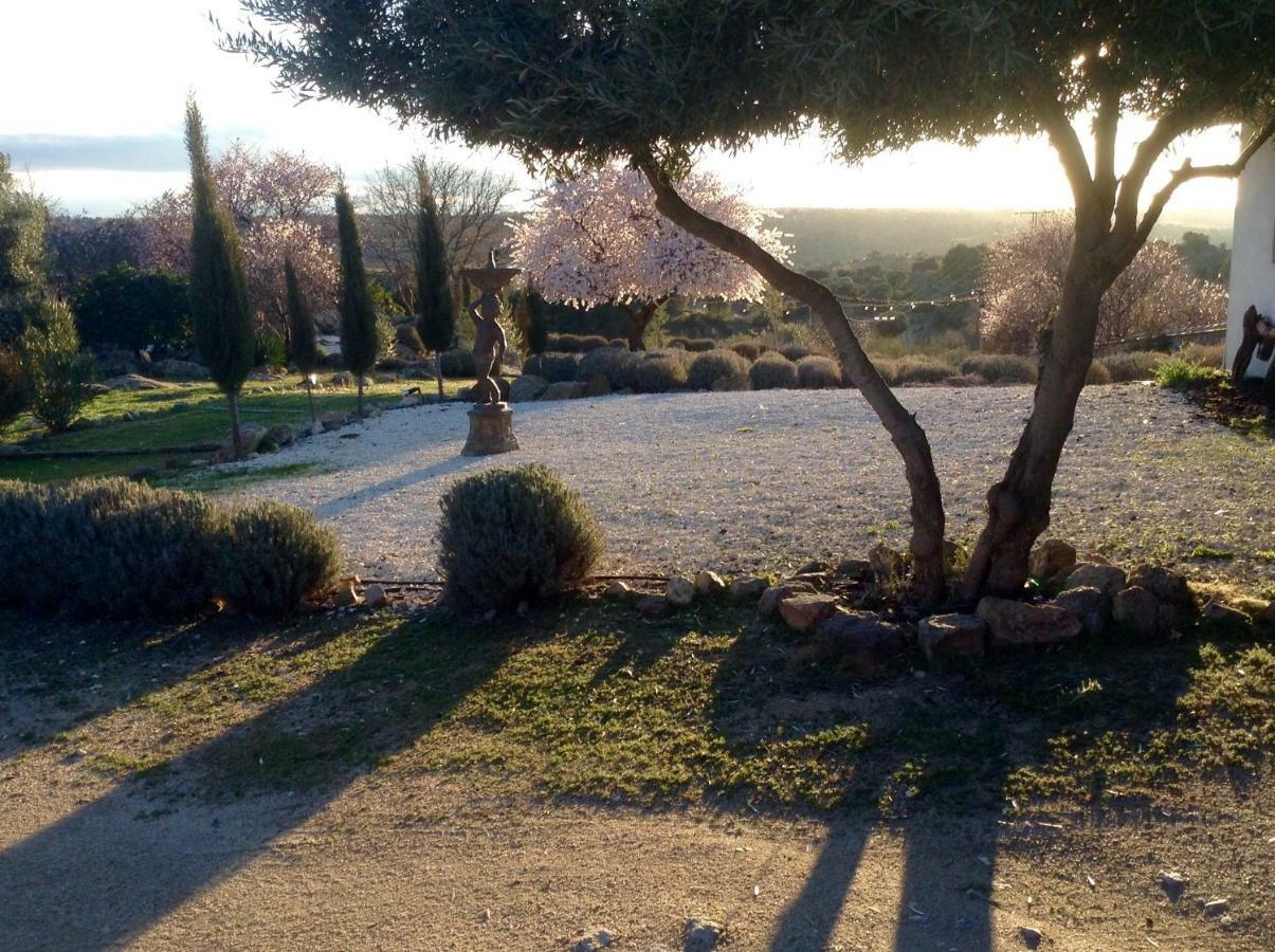 Finca El Cerco A 5M De Puy Du Fou Y 10M A Casco Antiguo De Toledo Villa Argés Kültér fotó