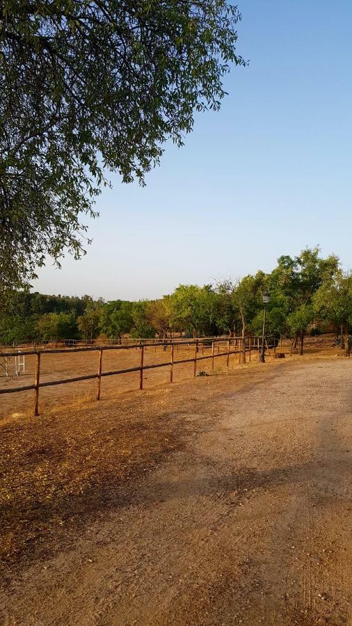 Finca El Cerco A 5M De Puy Du Fou Y 10M A Casco Antiguo De Toledo Villa Argés Kültér fotó