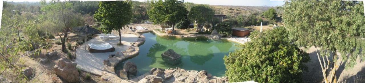 Finca El Cerco A 5M De Puy Du Fou Y 10M A Casco Antiguo De Toledo Villa Argés Kültér fotó