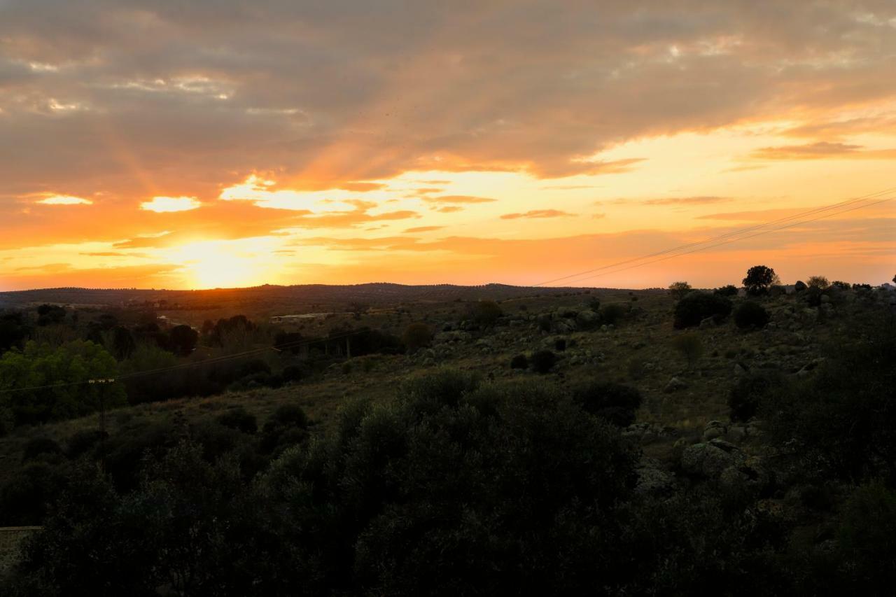 Finca El Cerco A 5M De Puy Du Fou Y 10M A Casco Antiguo De Toledo Villa Argés Kültér fotó