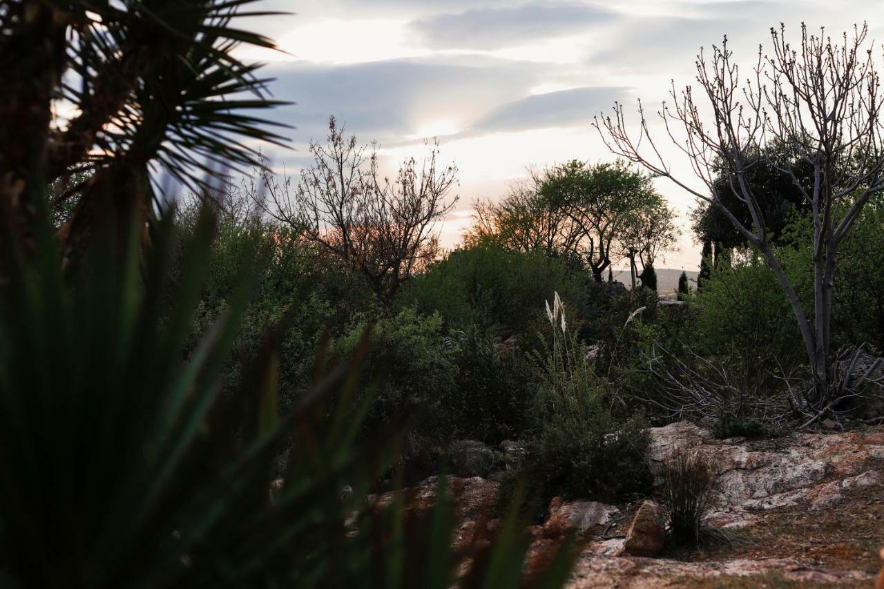 Finca El Cerco A 5M De Puy Du Fou Y 10M A Casco Antiguo De Toledo Villa Argés Kültér fotó