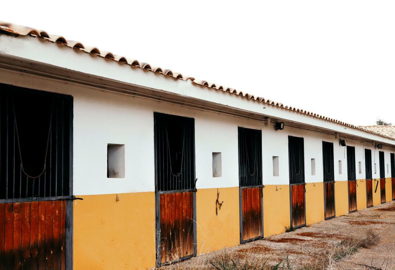 Finca El Cerco A 5M De Puy Du Fou Y 10M A Casco Antiguo De Toledo Villa Argés Kültér fotó