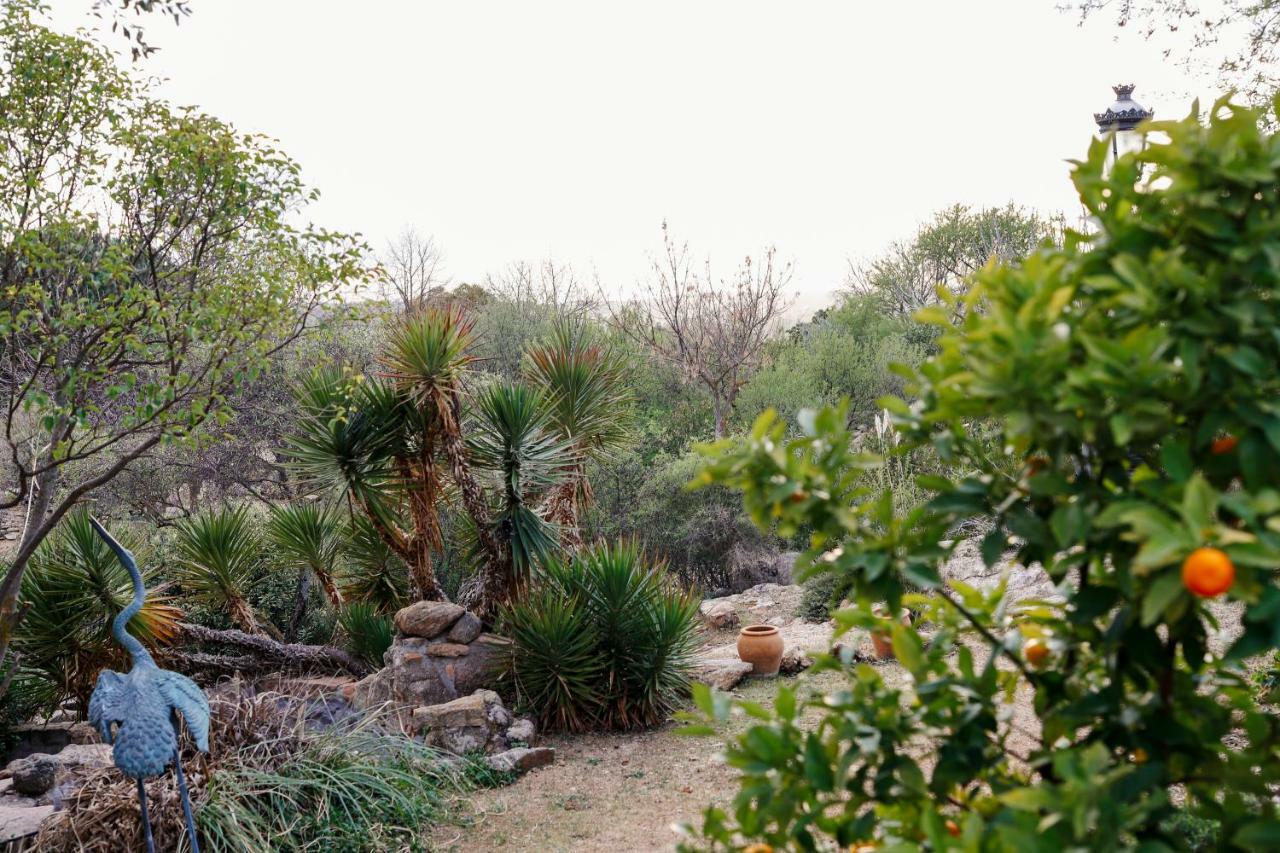 Finca El Cerco A 5M De Puy Du Fou Y 10M A Casco Antiguo De Toledo Villa Argés Kültér fotó
